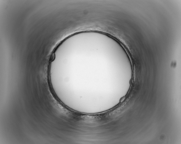 X0000099301500200805231331