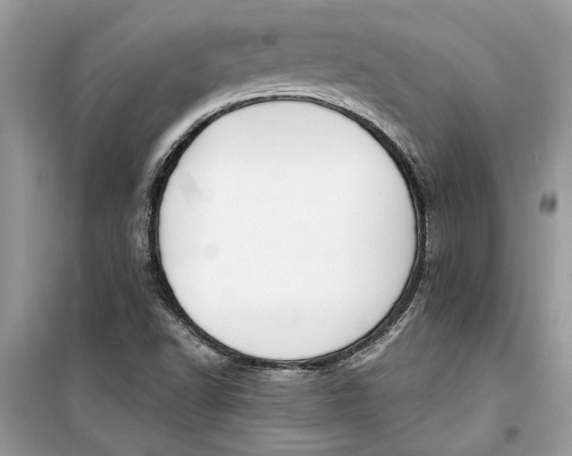 X0000099301502200805231331