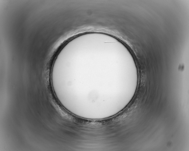 X0000099301503200805231331