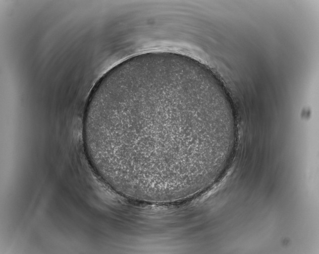 X0000099301505200805231331