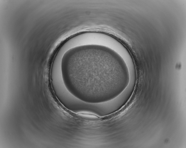 X0000099301506200805231331