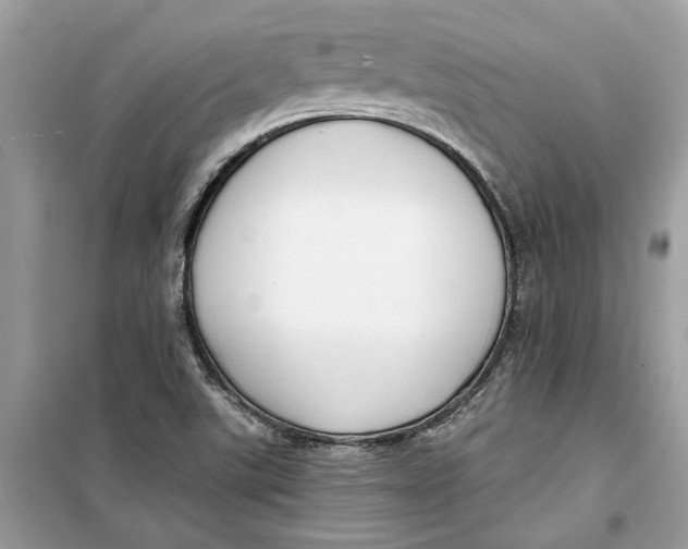 X0000099301507200805231331