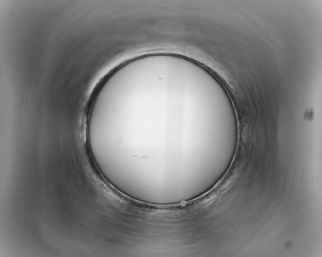 X0000099301510200805231331