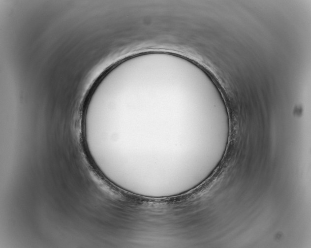 X0000099301511200805231331