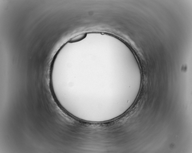 X0000099301512200805231331