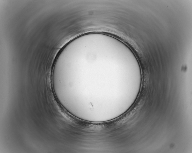 X0000099301513200805231331