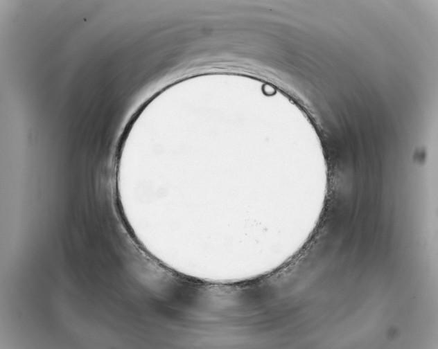 X0000099301514200805231331