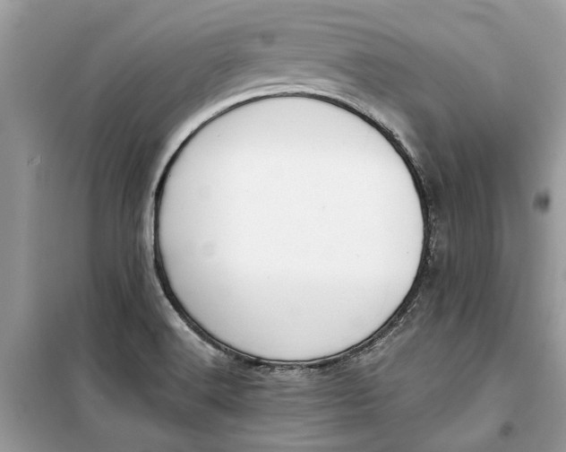 X0000099301516200805231331