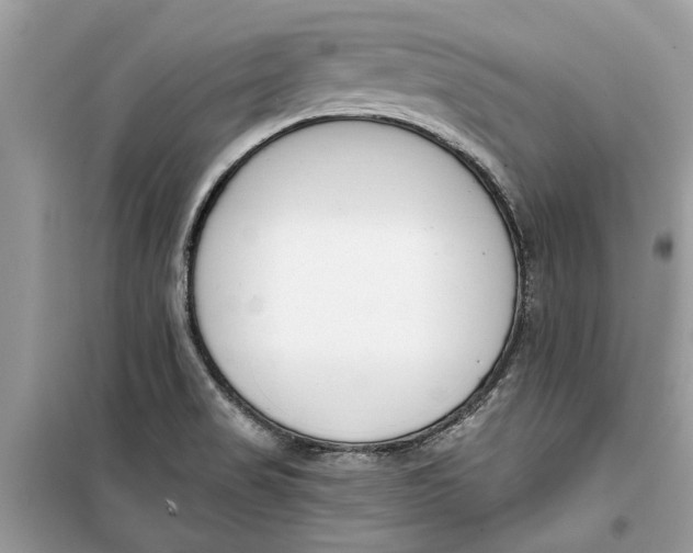 X0000099301517200805231331