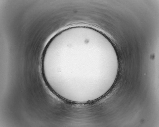 X0000099301518200805231331