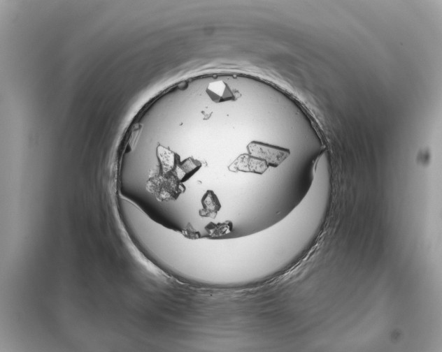 X0000099301519200805231331