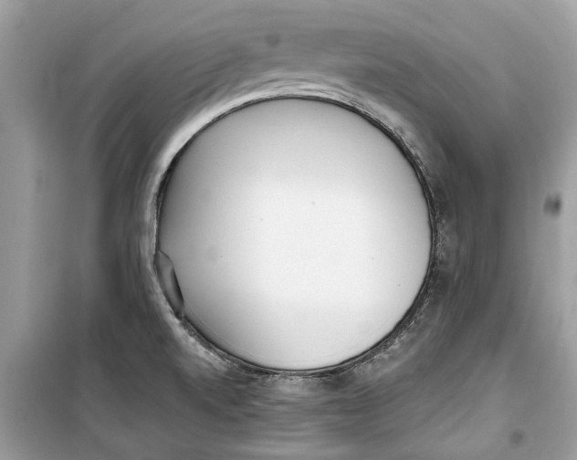 X0000099301520200805231331