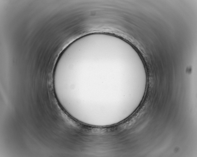 X0000099301521200805231331