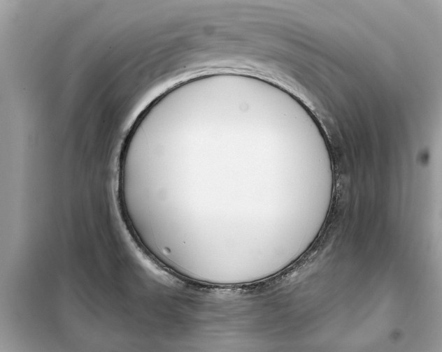 X0000099301523200805231331