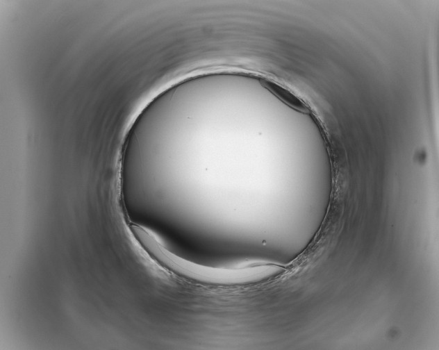 X0000099301524200805231331