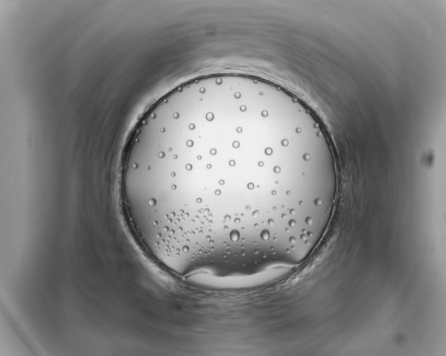 X0000099301525200805231331