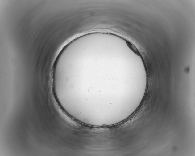 X0000099301526200805231331