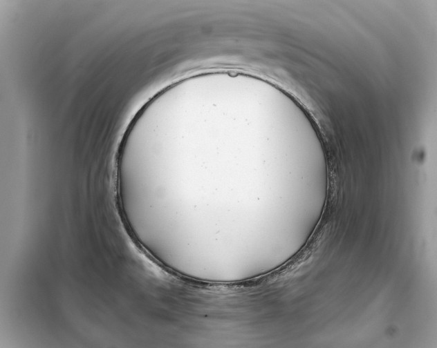 X0000099301527200805231331