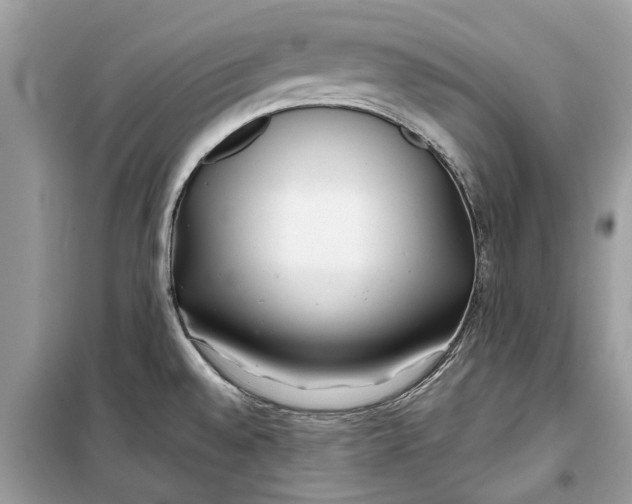 X0000099301528200805231331