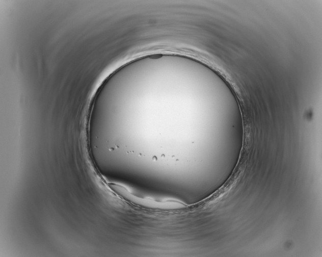 X0000099301530200805231331