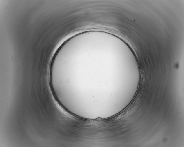 X0000099301531200805231331