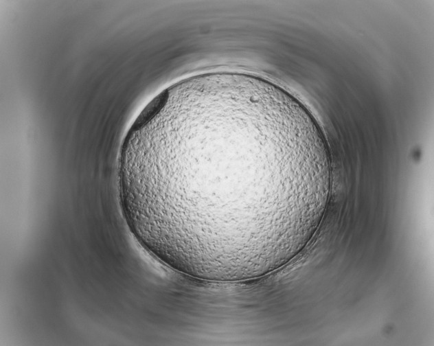 X0000099301532200805231331