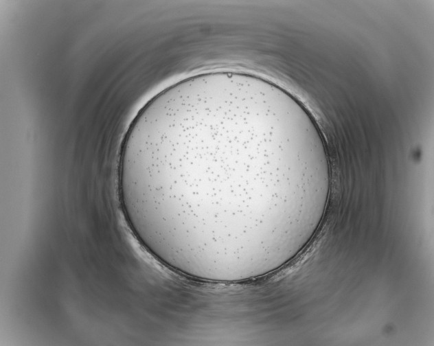 X0000099301534200805231331