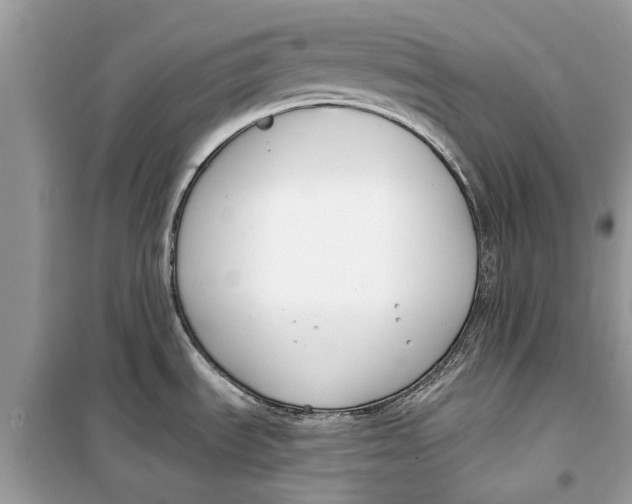 X0000099301535200805231331