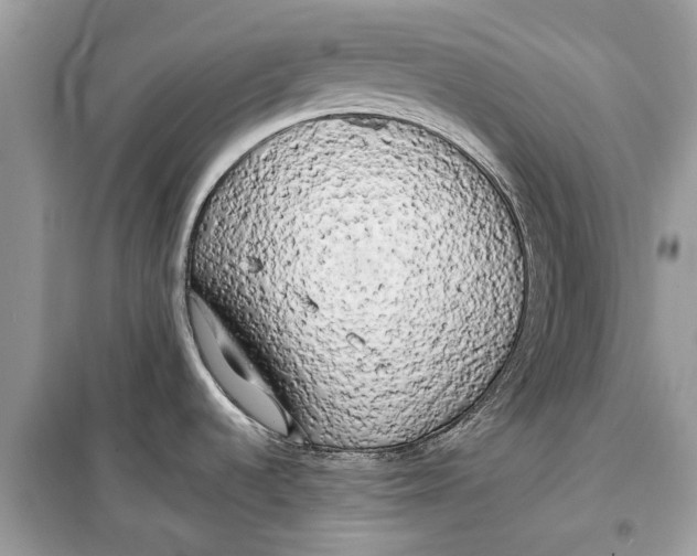 X0000099301536200805231331