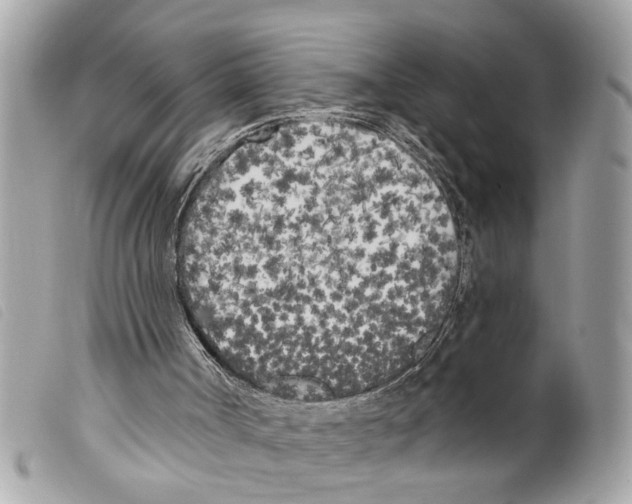 X0000099300002200805301143