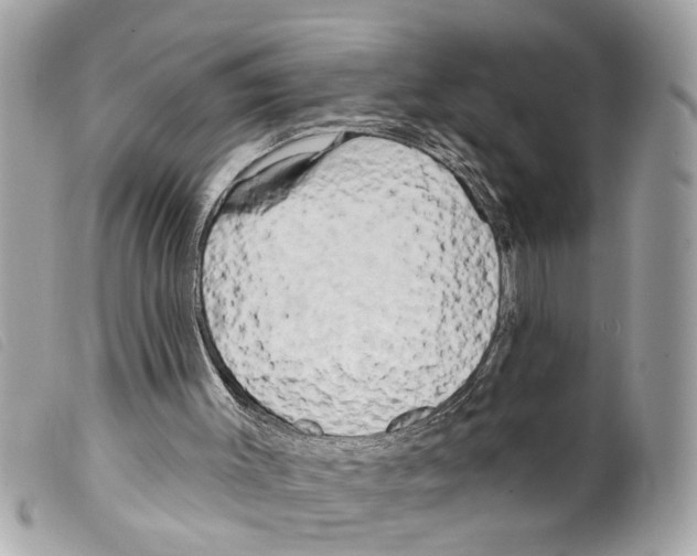 X0000099300003200805301143