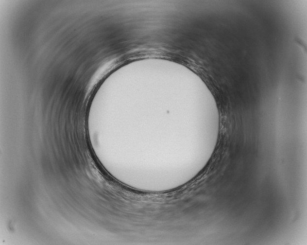 X0000099300004200805301143