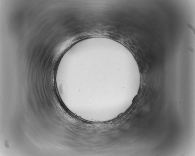 X0000099300005200805301143