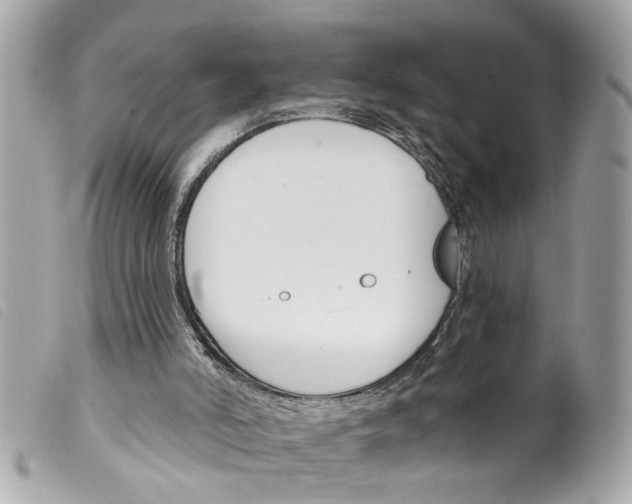 X0000099300006200805301143
