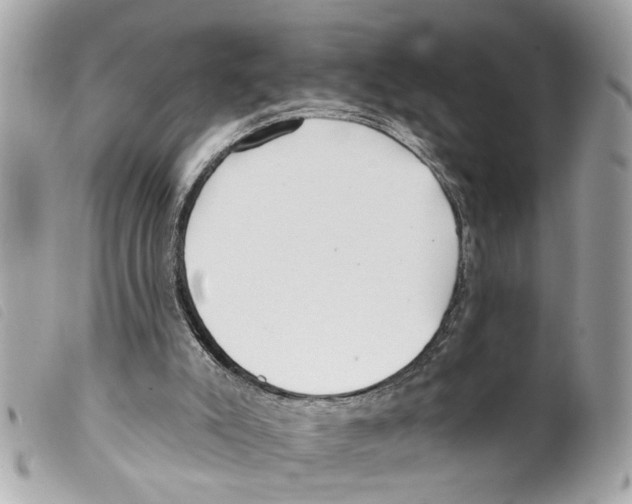 X0000099300007200805301143