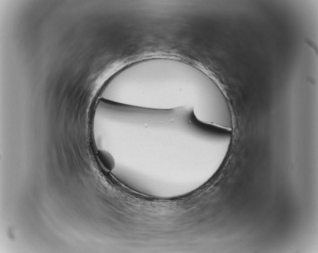 X0000099300008200805301143