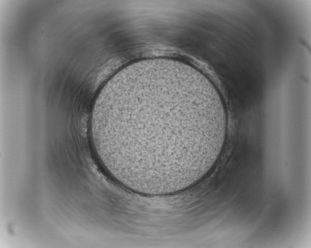 X0000099300010200805301143