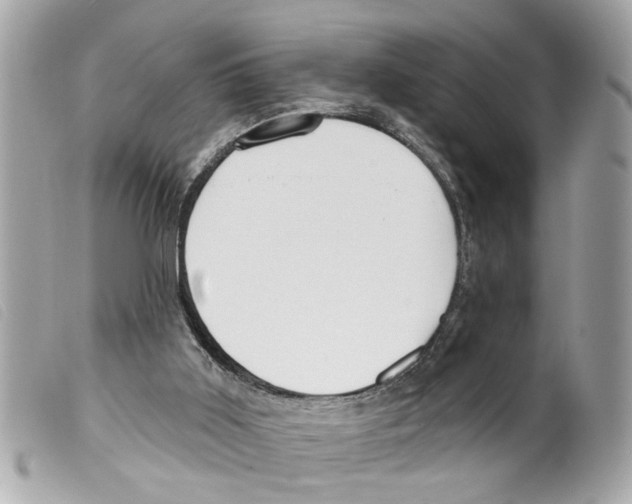 X0000099300011200805301143