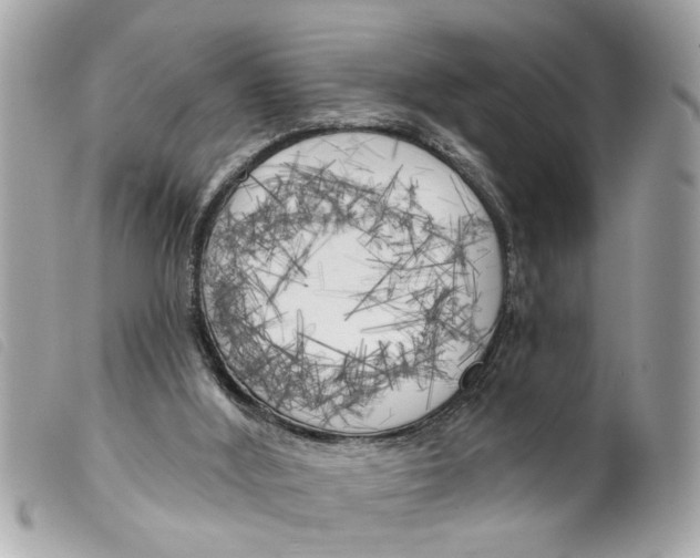X0000099300012200805301143