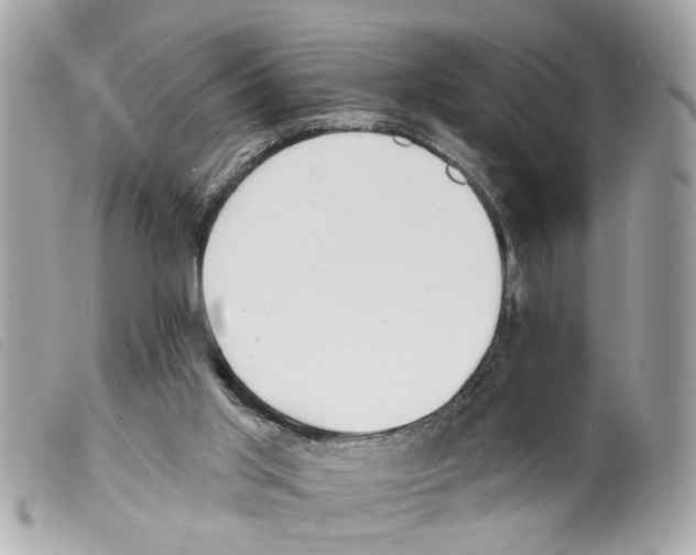X0000099300013200805301143