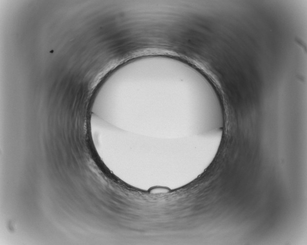 X0000099300015200805301143