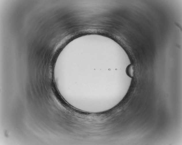 X0000099300016200805301143