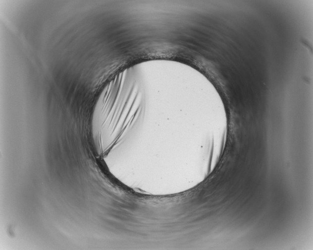 X0000099300017200805301143