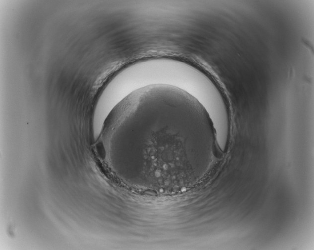 X0000099300019200805301143