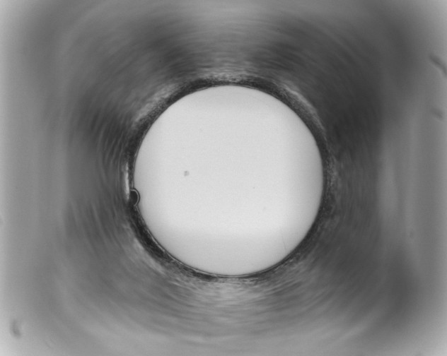 X0000099300020200805301143