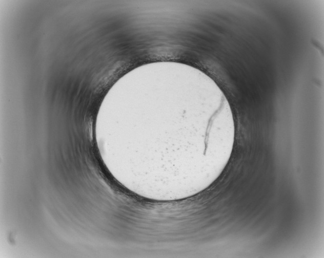 X0000099300021200805301142