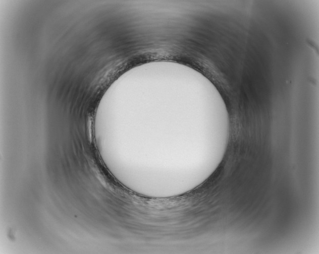 X0000099300022200805301142
