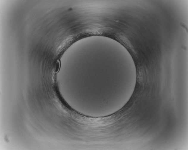 X0000099300023200805301142