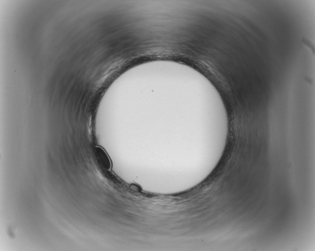 X0000099300024200805301142