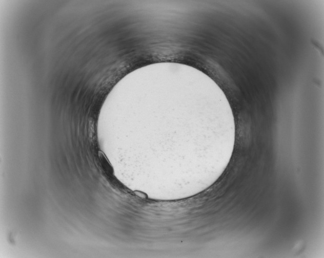 X0000099300025200805301142